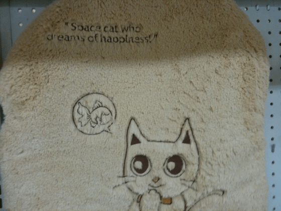 Space cat who dreams of happiness.